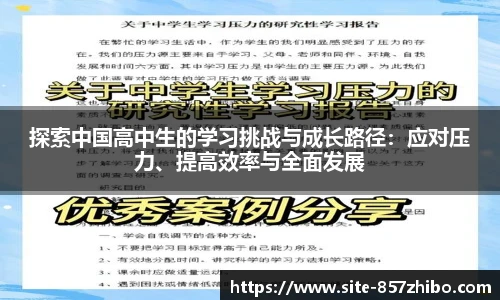 探索中国高中生的学习挑战与成长路径：应对压力、提高效率与全面发展