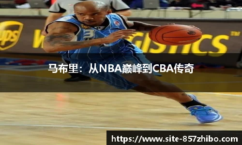 马布里：从NBA巅峰到CBA传奇