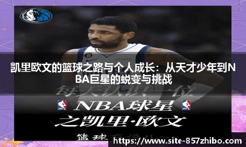 857体育直播间