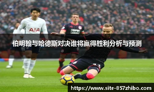 857体育直播间